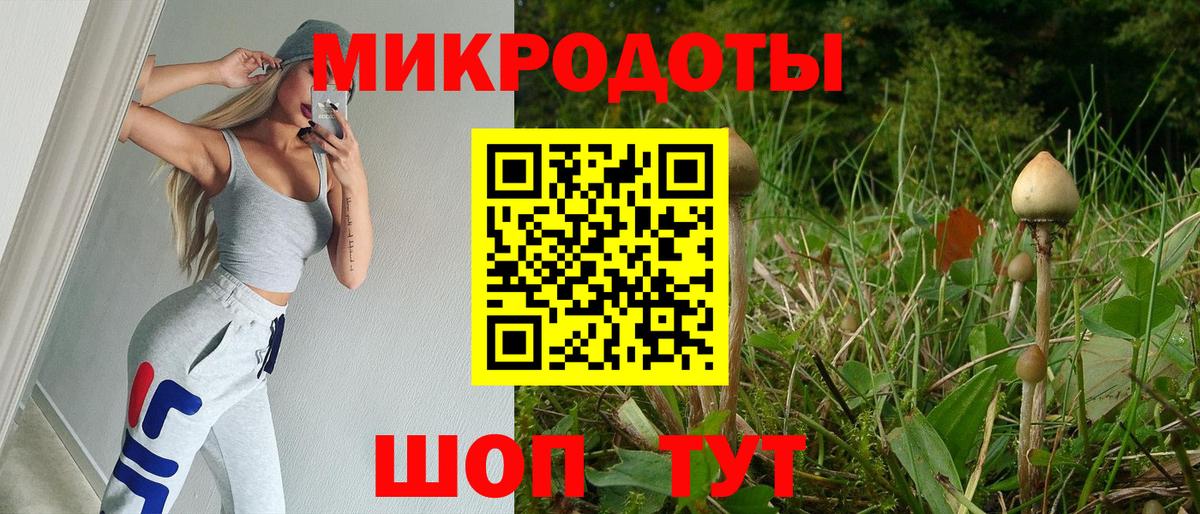 Псилоцибиновые грибы мицелий Россия