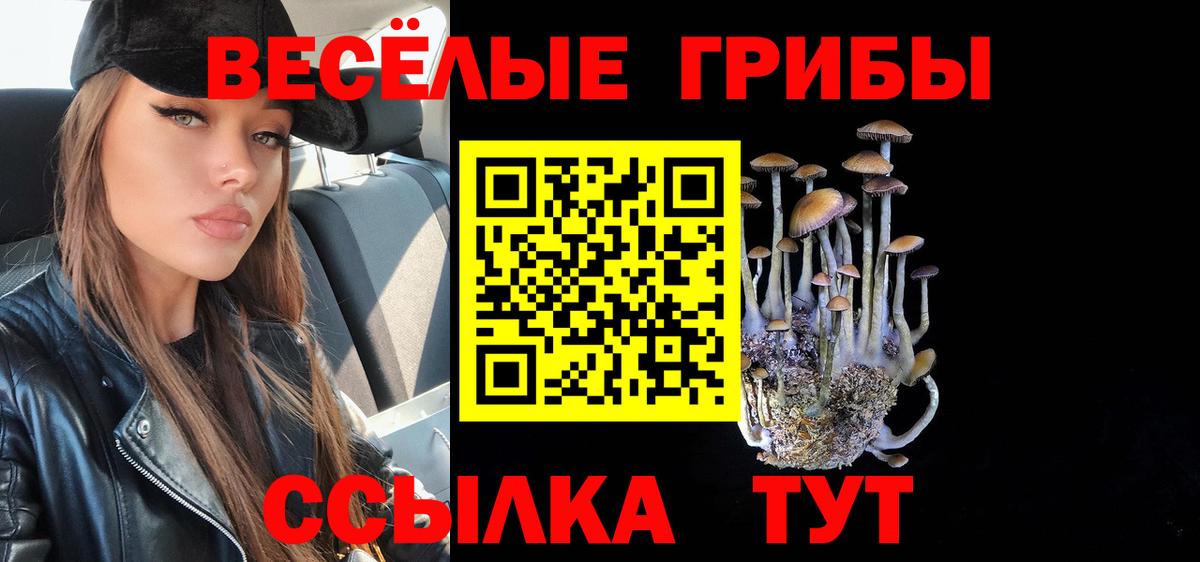 Россия  наркотики  Галлюциногенные грибы MAGIC MUSHROOMS  Вход с VPN  Псилоцибиновые грибы мухоморы 